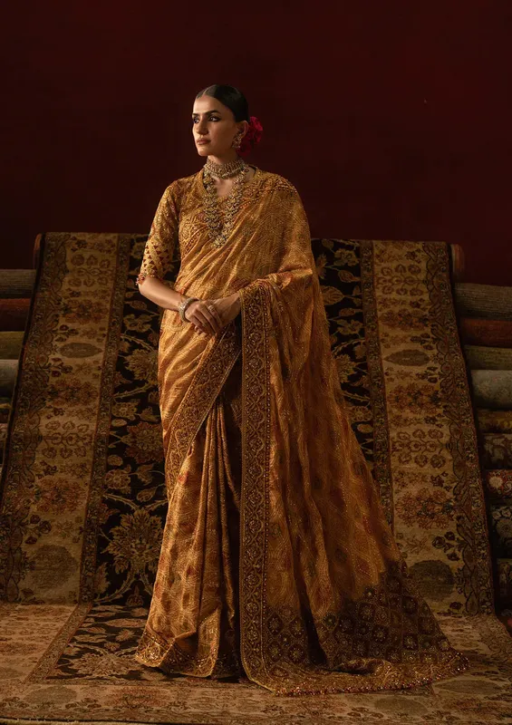 Aik Atelier Sari Edit 25 Mustard Organza – view 1 – Poshaq