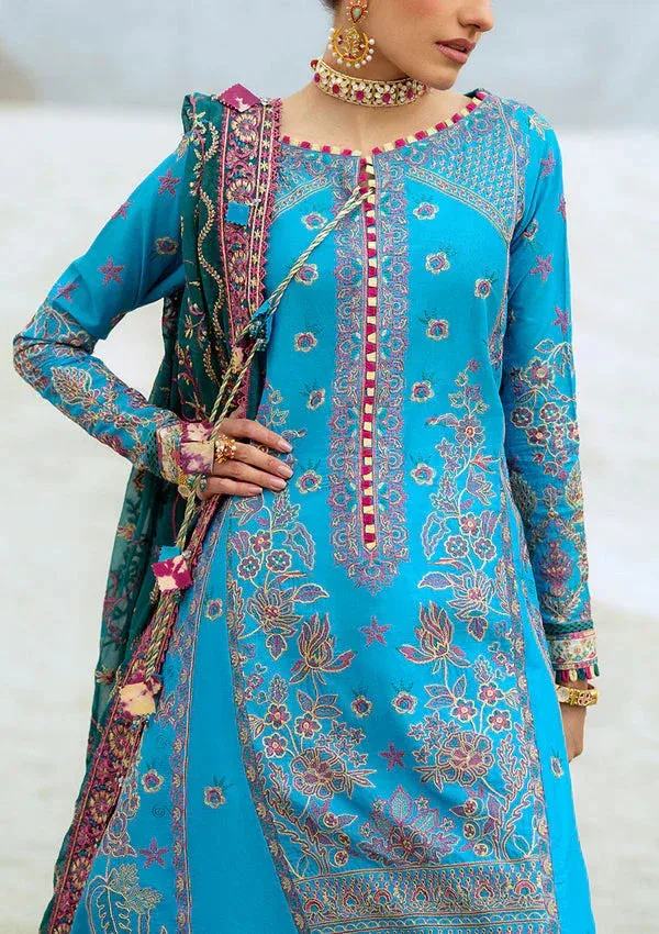 Rangrasiya Lifestyle Summer Edit 25 Denium Blue Organza – view 3 – Poshaq