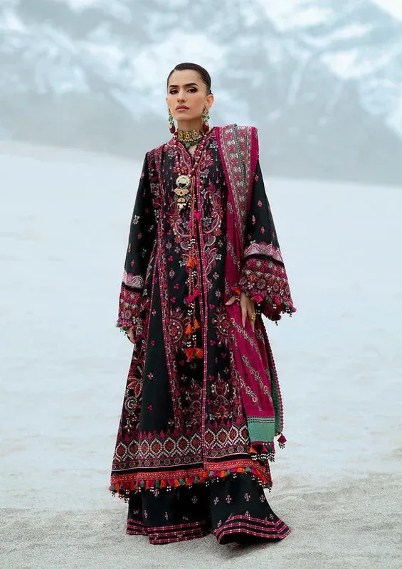 Rangrasiya Lifestyle Summer Edit 25 Black Organza – view 1 – Poshaq