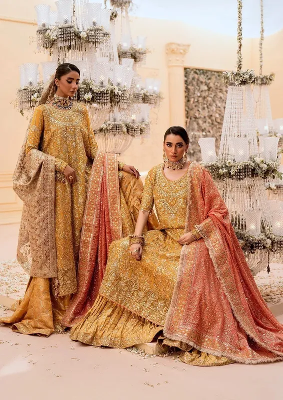 Aik Atelier Wedding Festive 25 Organza – view 1 – Poshaq