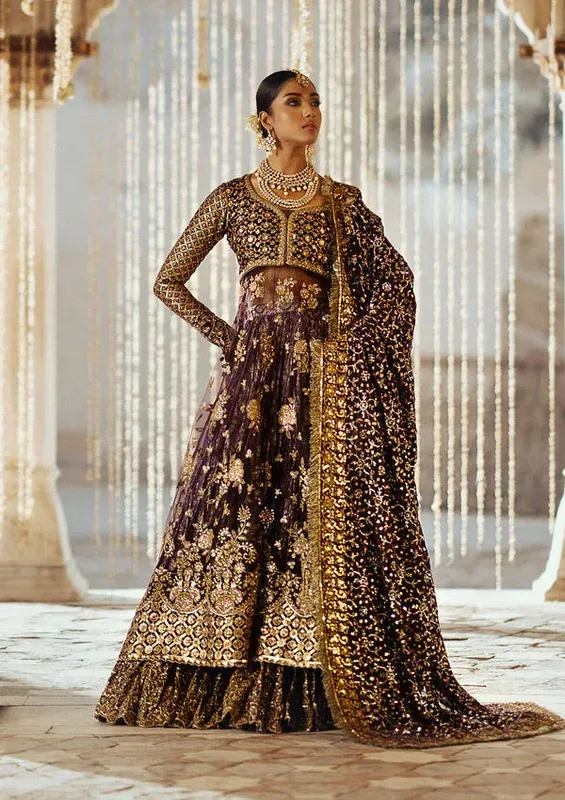Aik Atelier Dastoor Velvet 24 Purple Organza – view 1 – Poshaq