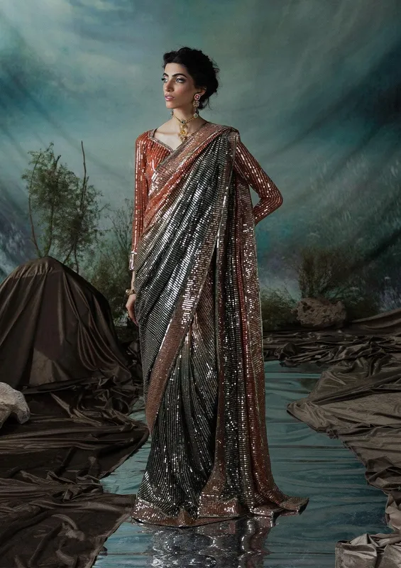 Aik Atelier Sari Edit 2024 Rust Organza – view 1 – Poshaq