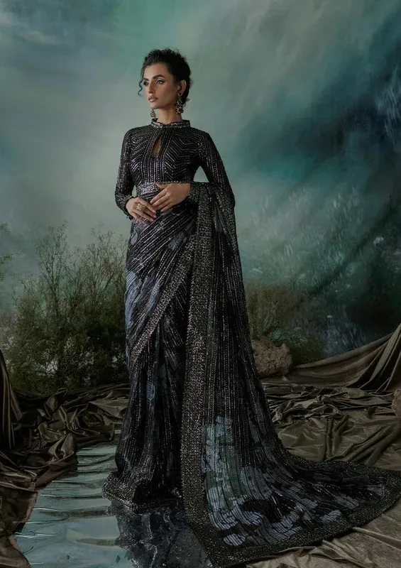 Aik Atelier Sari Edit 2024 Black Organza – view 1 – Poshaq