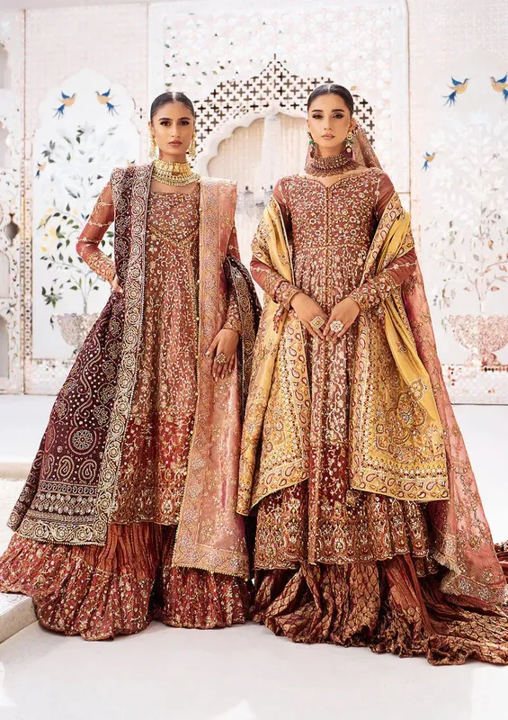 Aik Atelier Wedding Festive 24 Organza – view 1 – Poshaq