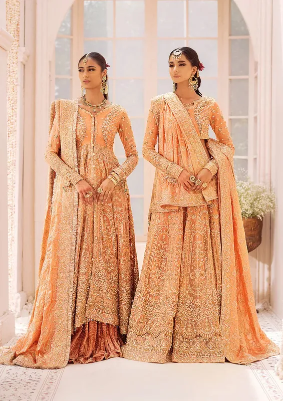 Aik Atelier Wedding Festive 24 Coral Organza – view 1 – Poshaq