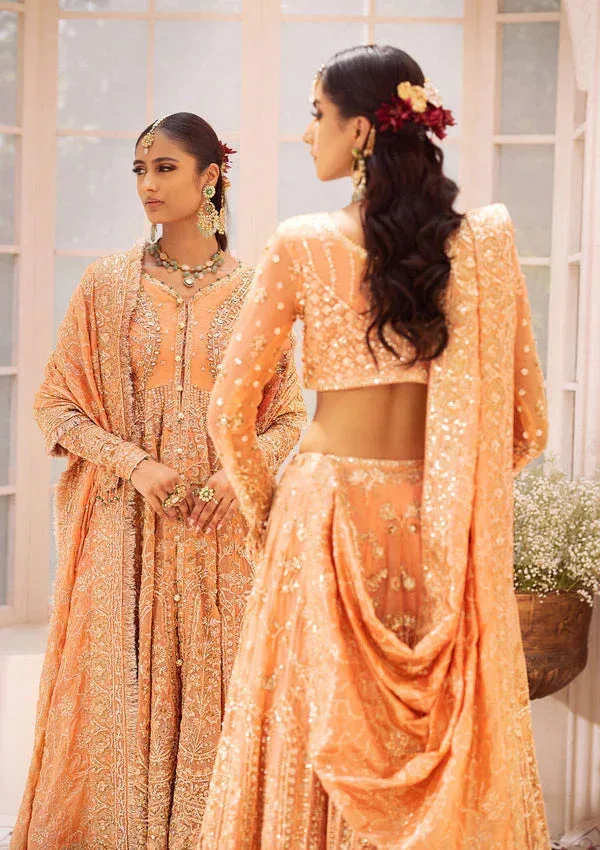 Aik Atelier Wedding Festive 24 Coral Organza – view 3 – Poshaq