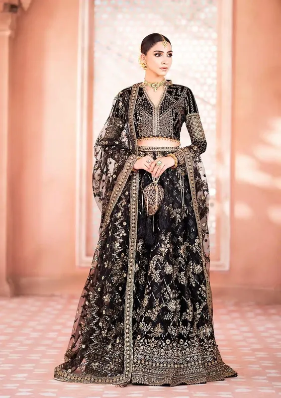 Aik Atelier Zardozi Velvet 23 Black Organza – view 1 – Poshaq