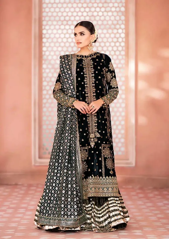 Aik Atelier Zardozi Velvet 23 Organza – view 1 – Poshaq
