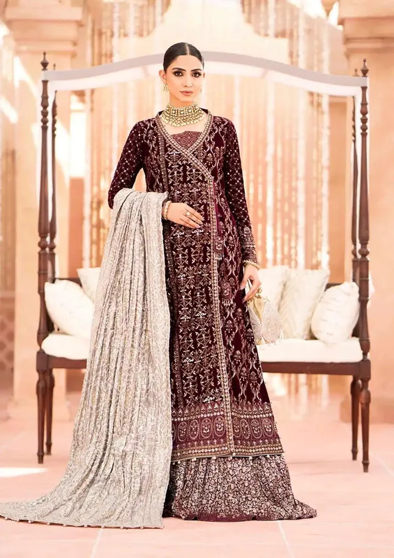 Aik Atelier Zardozi Velvet 23 Organza – view 1 – Poshaq