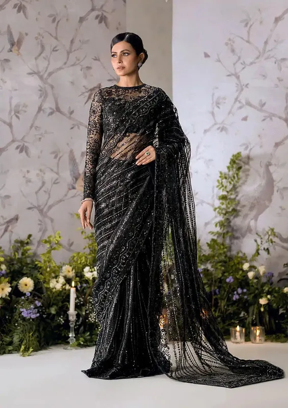 Aik Atelier The Sari Edit Black Organza – view 1 – Poshaq