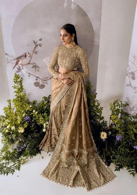 Aik Atelier The Sari Edit Organza – view 1 – Poshaq