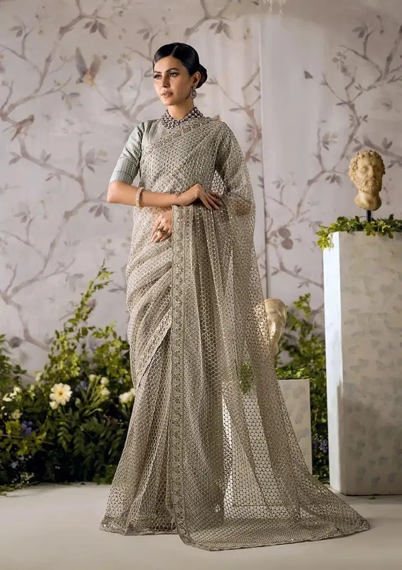 Aik Atelier The Sari Edit Organza – view 1 – Poshaq