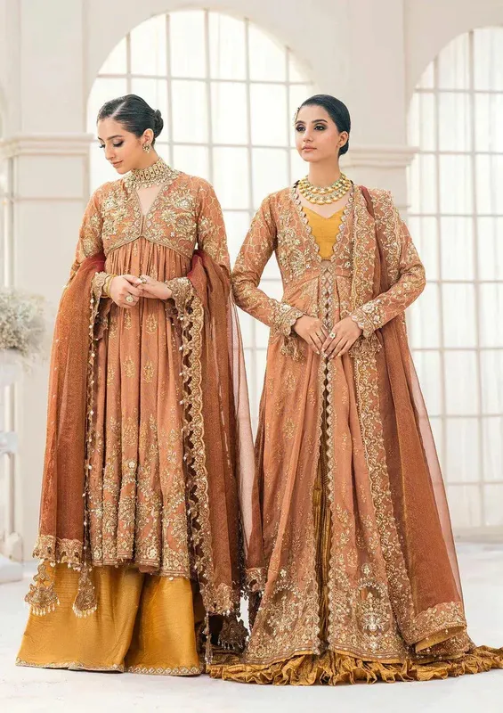 Aik Atelier Wedding Festive 23 Orange Organza – view 1 – Poshaq