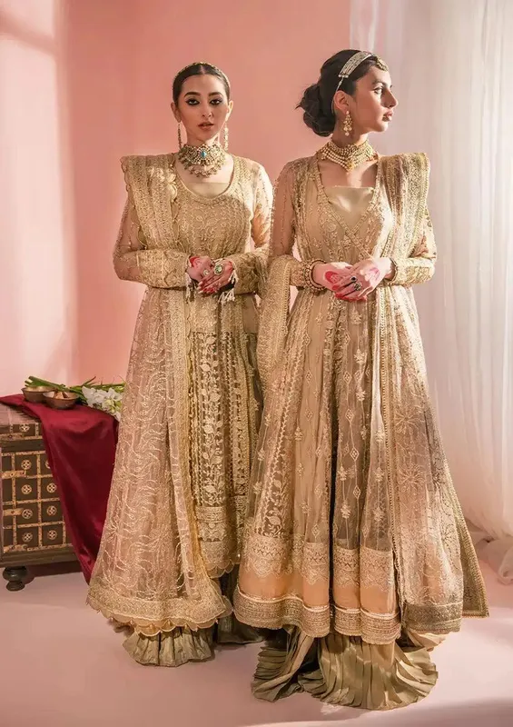 Aik Atelier Wedding Festive 23 Beige Organza – view 1 – Poshaq