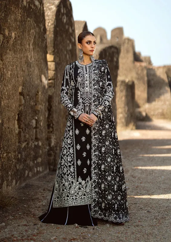 Aik Atelier Pardes Lawn 24 Black Organza – view 1 – Poshaq