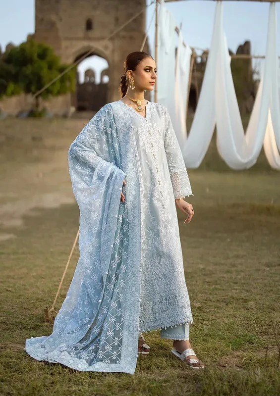 Aik Atelier Pardes Lawn 24 Grey Organza – view 1 – Poshaq