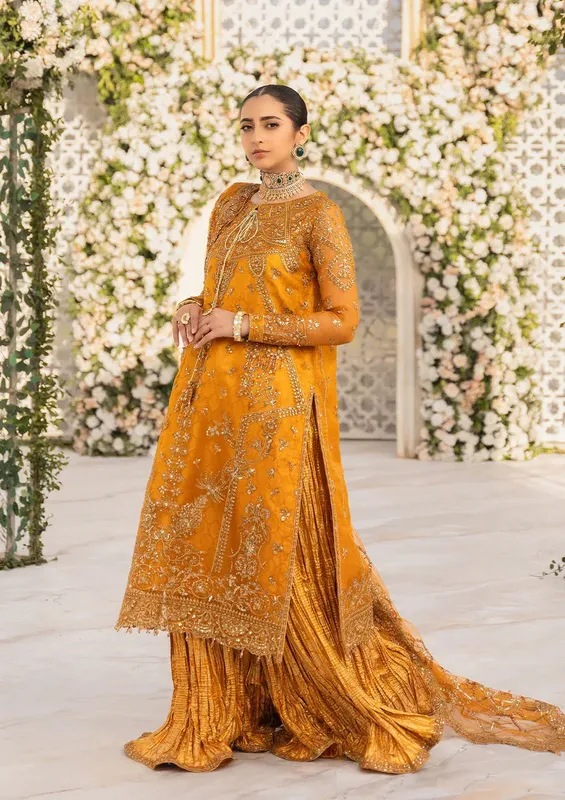 Aik Atelier Formals Vol-1 24 Rust Organza – view 1 – Poshaq
