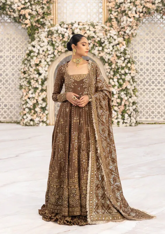 Aik Atelier Formals Vol-1 24 Brown Organza – view 1 – Poshaq