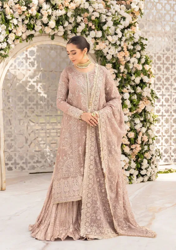 Aik Atelier Formals Vol-1 24 Tea Pink Organza – view 1 – Poshaq