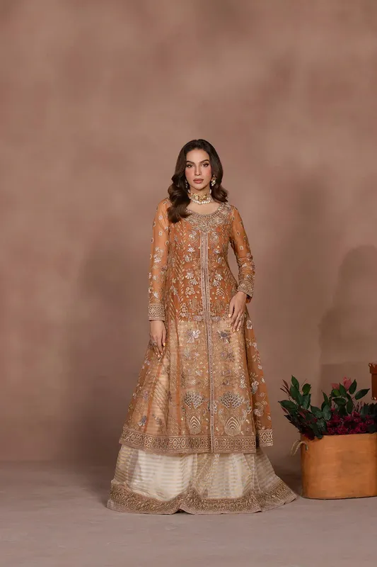 Flossie Studio RTW Copper Organza – view 1 – Poshaq