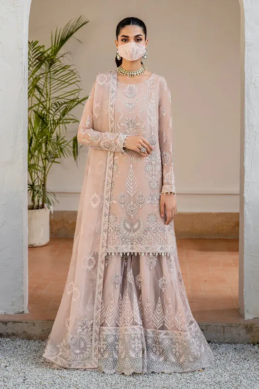 Flossie Naqsh Formals Pastel Pink Organza – view 1 – Poshaq