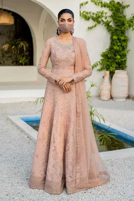 Flossie Naqsh Formals Pale Peach Organza – view 1 – Poshaq