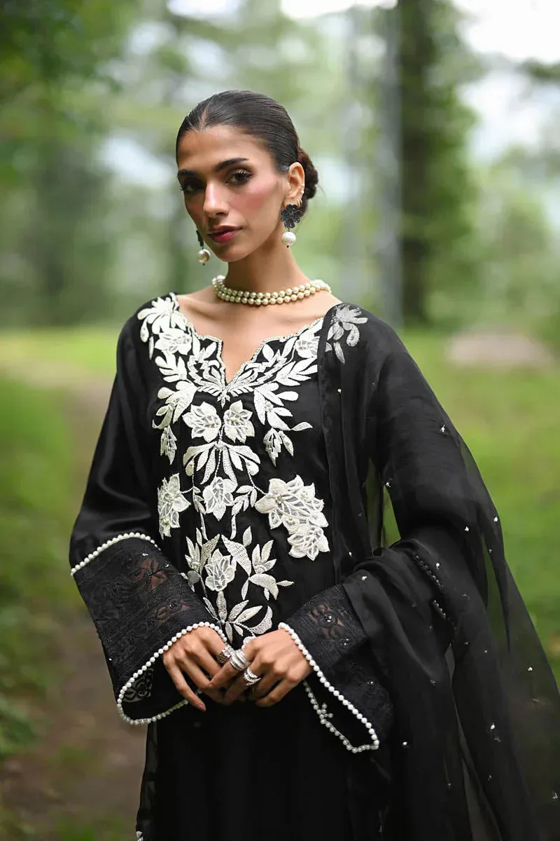 Hue Pret Farasha Luxury Pret Black Organza – view 3 – Poshaq