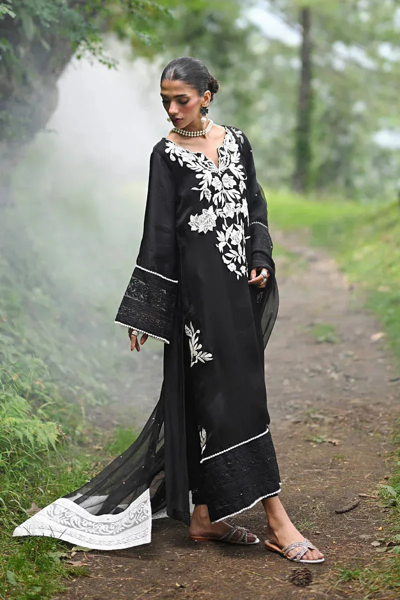 Hue Pret Farasha Luxury Pret Black Organza – view 6 – Poshaq