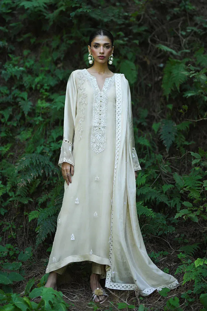 Hue Pret Farasha Luxury Pret Ivory Organza – view 5 – Poshaq