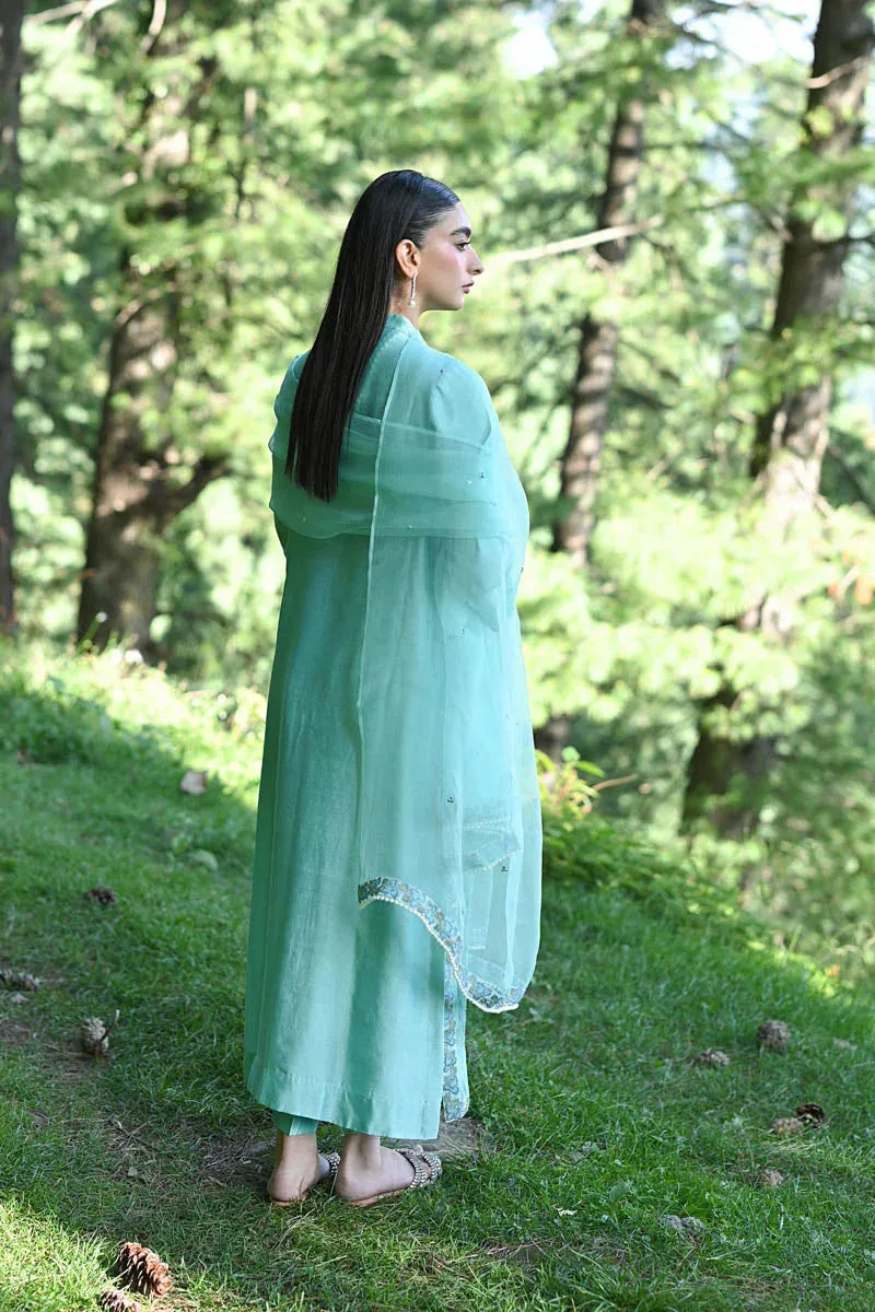 Hue Pret Farasha Luxury Pret Light Ferozi Organza – view 2 – Poshaq