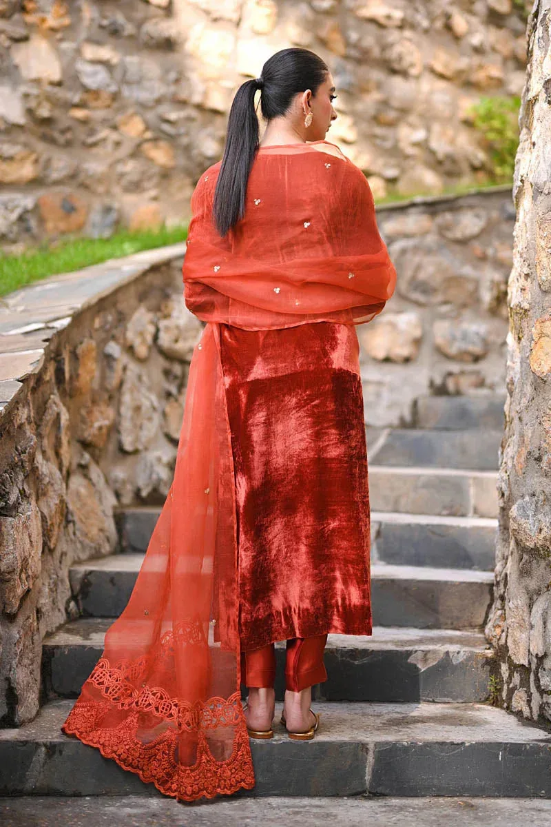 Hue Pret Farasha Luxury Winter Red Organza – view 2 – Poshaq