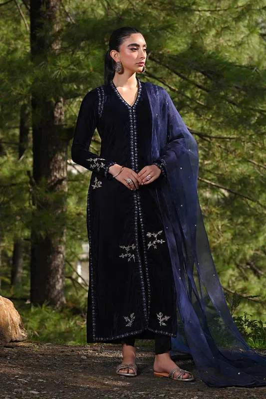 Hue Pret Farasha Luxury Winter Navy Blue Organza – view 1 – Poshaq