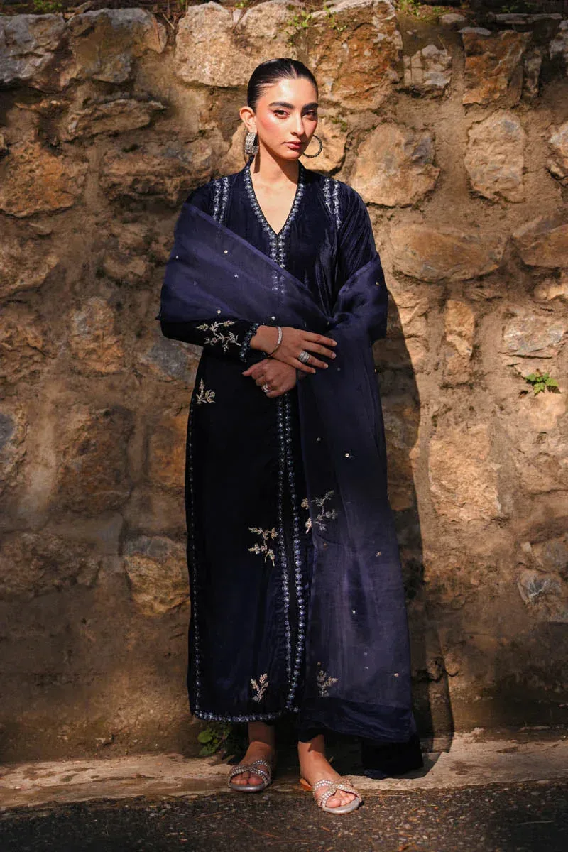 Hue Pret Farasha Luxury Winter Navy Blue Organza – view 6 – Poshaq