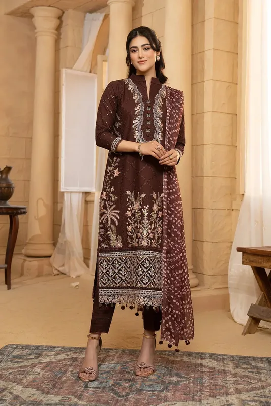 Hemstitch Summer Luxury Lawn 24 Organza – view 1 – Poshaq