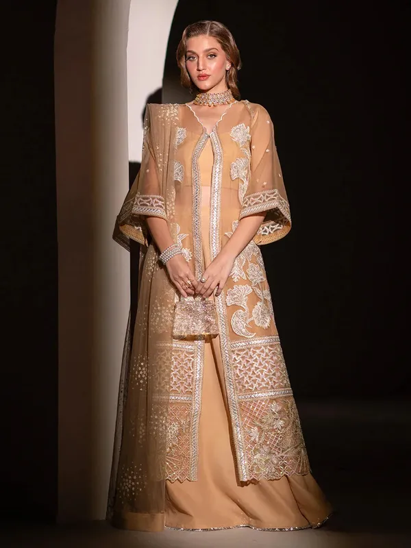 Izel Stardust Luxury Collection Peach Organza – view 1 – Poshaq