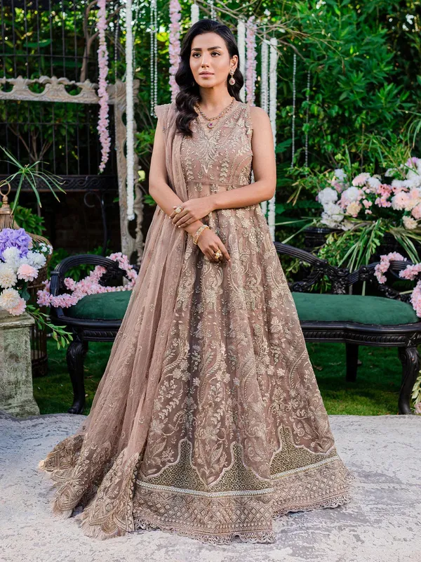 Izel Heeriye Festive Collection Pink Organza – view 1 – Poshaq