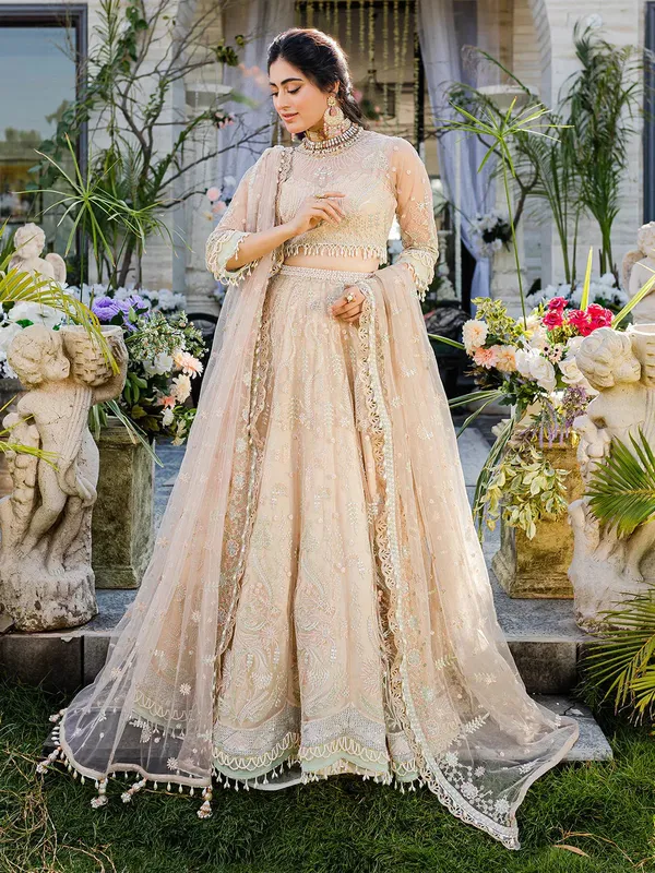 Izel Heeriye Festive Collection Skin Net – view 1 – Poshaq