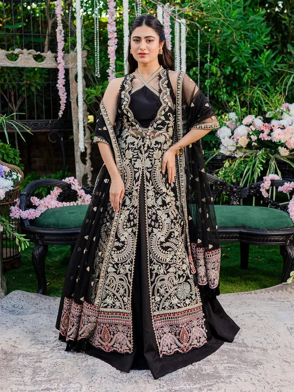 Izel Heeriye Festive Collection Black Organza – view 1 – Poshaq