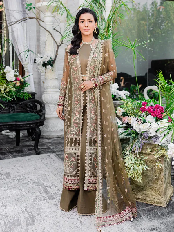Izel Heeriye Festive Collection Green Chiffon – view 1 – Poshaq