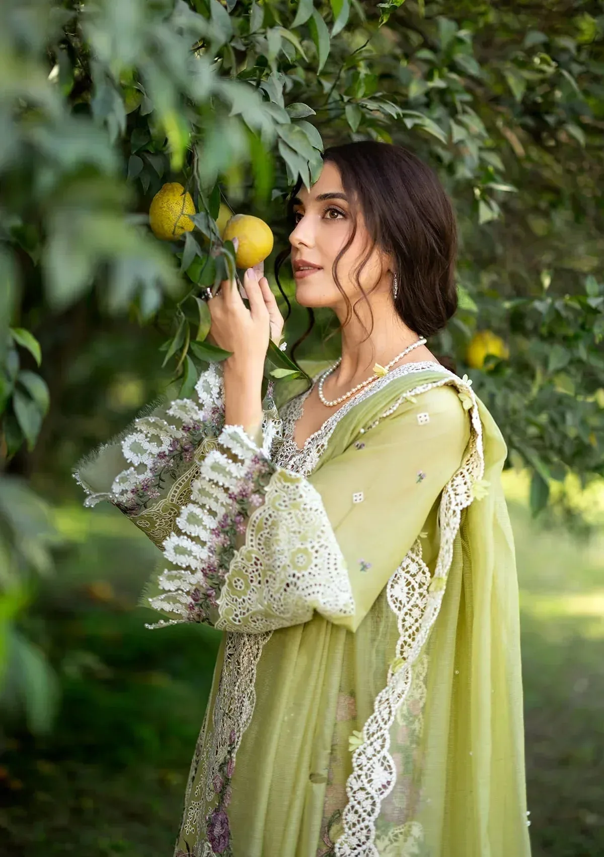 Elaf Premium Organza – view 10 – Poshaq