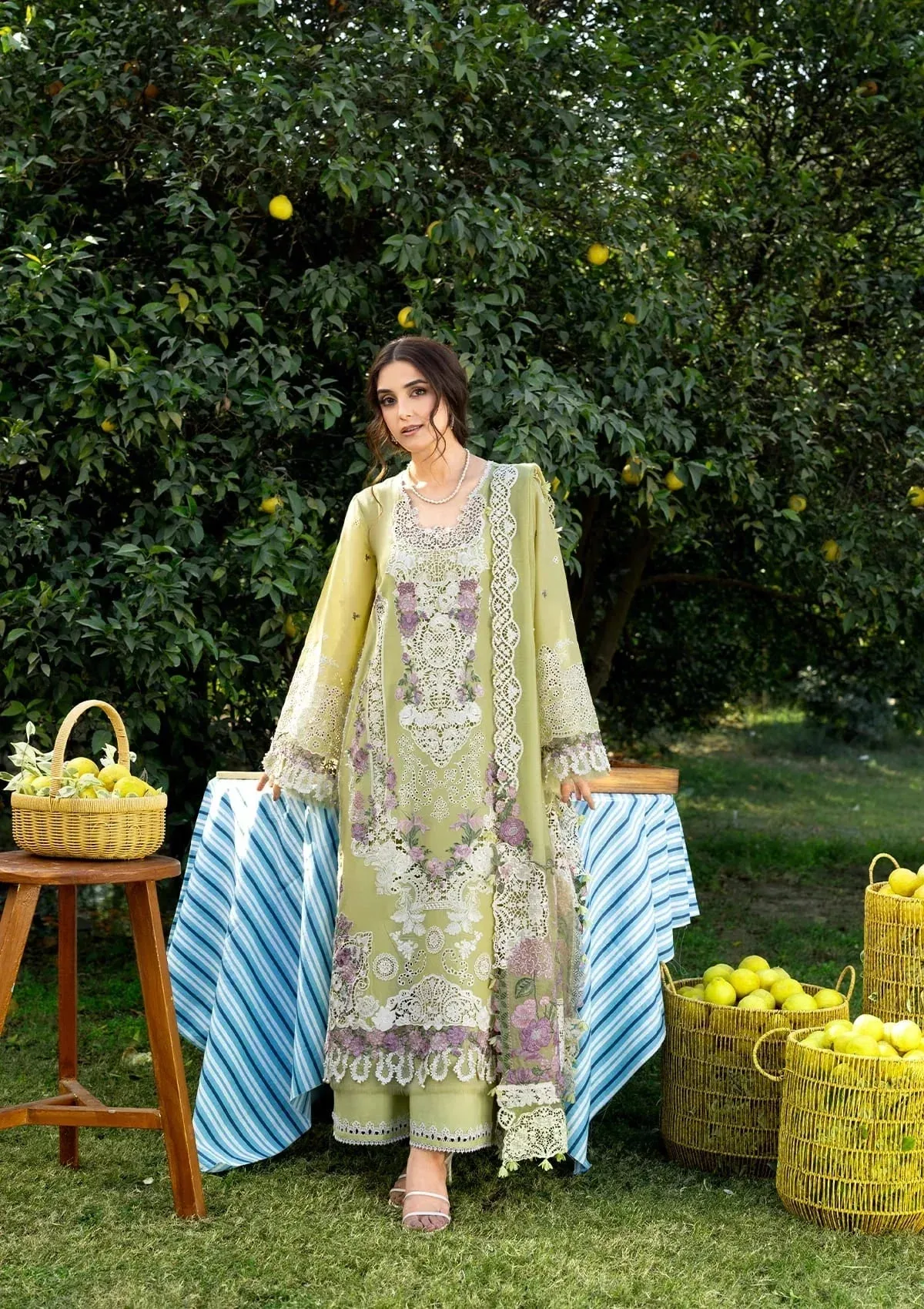 Elaf Premium Organza – view 4 – Poshaq