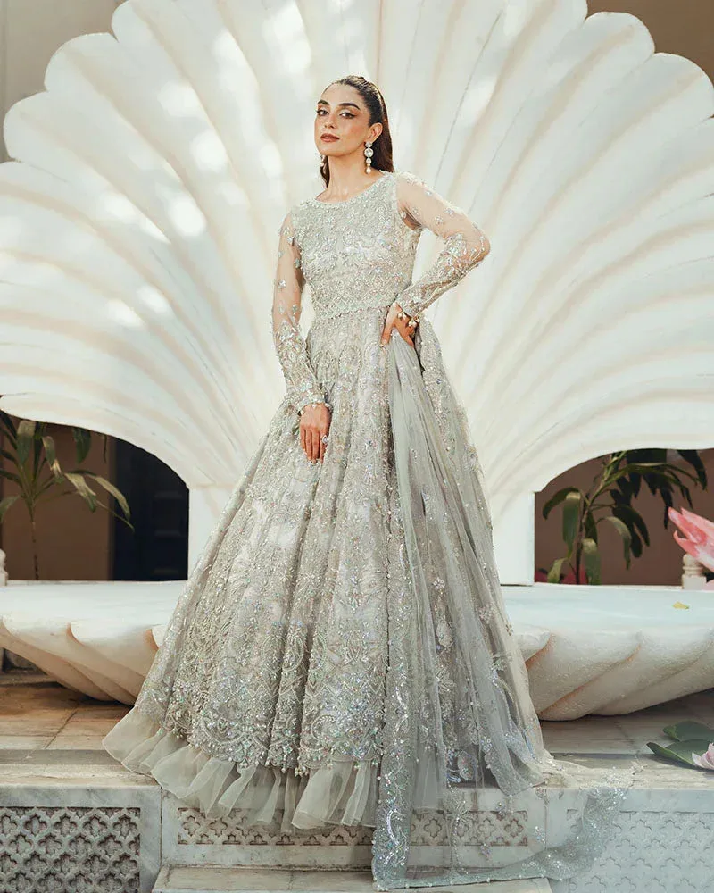 Ain Naulakha Wedding Festive 24 Light Gray Organza – view 1 – Poshaq