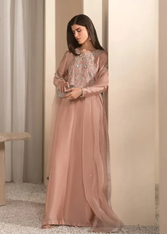 Mahum Asad Breaking the Bar Pink Organza – view 1 – Poshaq