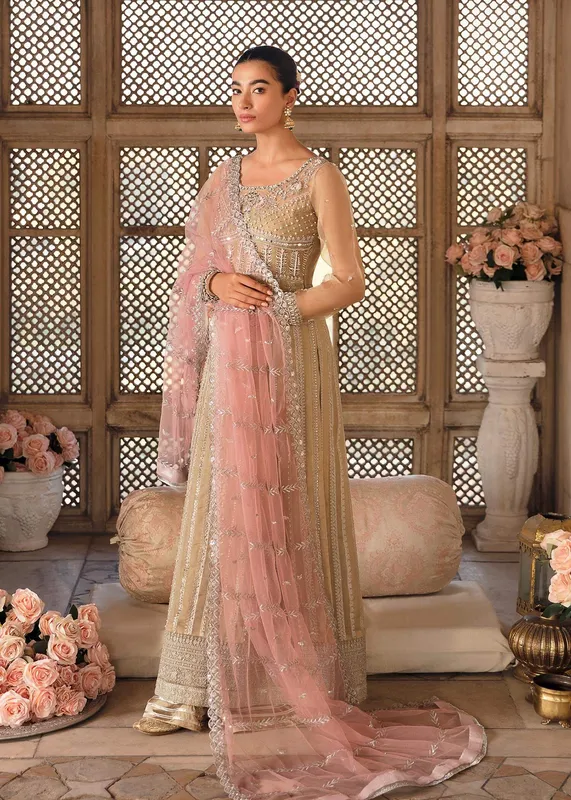 Mahum Asad Gul Posh Luxury Formals 23 Skin Organza – view 1 – Poshaq
