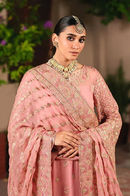 Maryum N Maria Gulnaar Formals tea pink Organza – view 3 – Poshaq