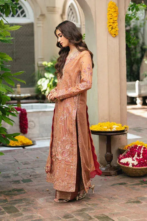 Maryum N Maria Gulnaar Formals orange Organza – view 4 – Poshaq