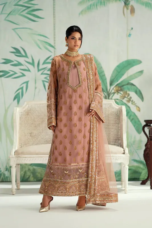 Maryum N Maria Mushal Formals Brownish Pink Organza – view 1 – Poshaq
