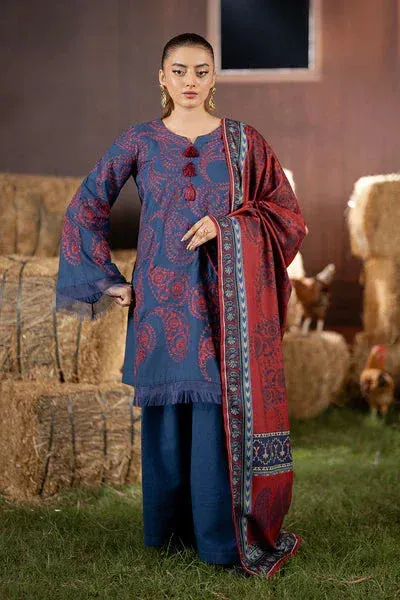 Maryum N Maria Cosy Crew Winter Pret 25 Blue Organza – view 1 – Poshaq