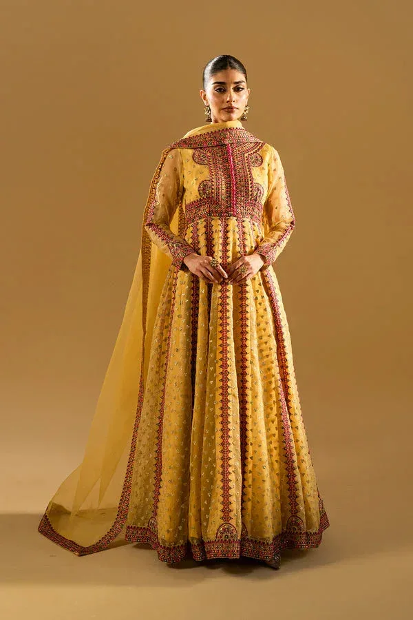 Maryum N Maria Mysha Wedding Formals Mist Yellow Organza – view 1 – Poshaq