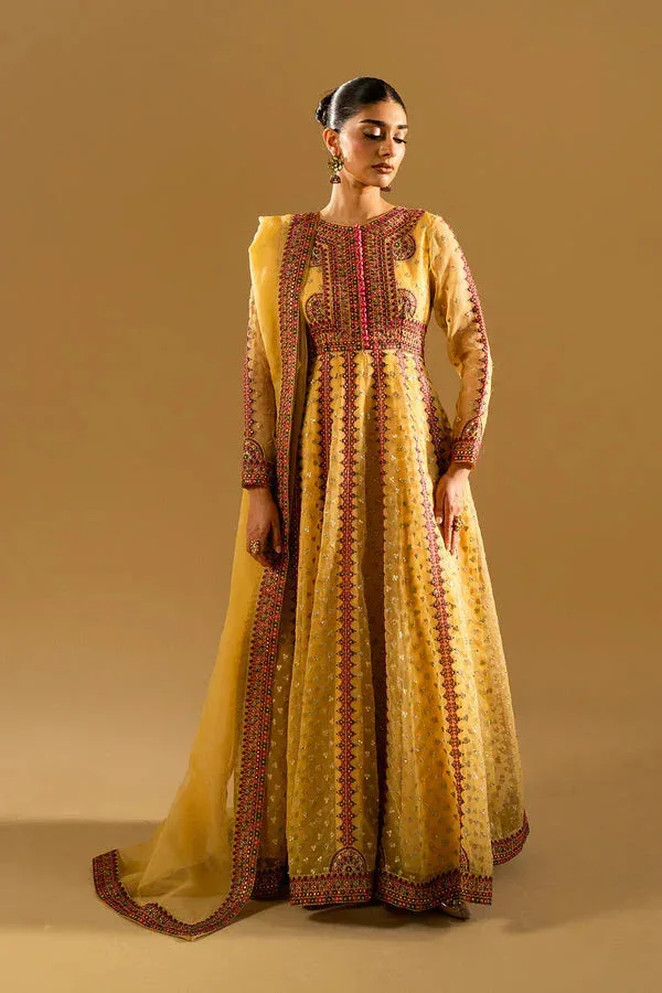 Maryum N Maria Mysha Wedding Formals Mist Yellow Organza – view 5 – Poshaq